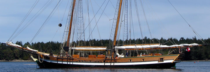 Pacific Grace and Pacific Swift